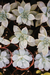 linen remix 2020 - book - Image 10