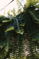 linen remix 2020 - book - Image 14