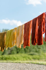 Natural Dye Bundle - pattern - Image 3